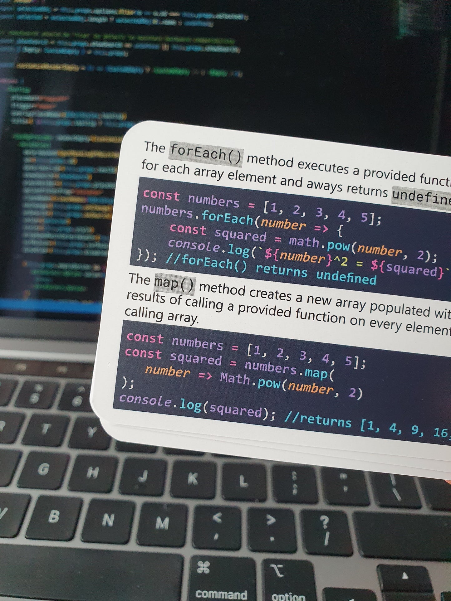 JavaScript + Angular Bundle